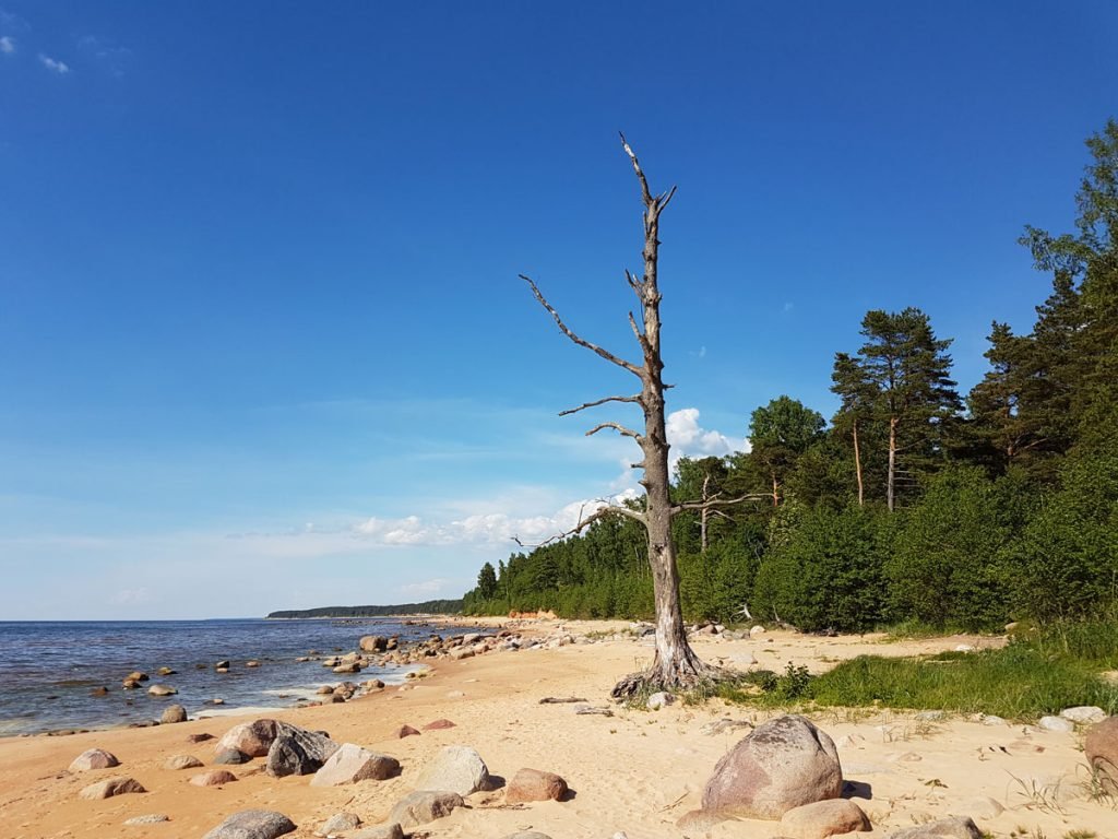 Traveling to Latvia _ secluded beach