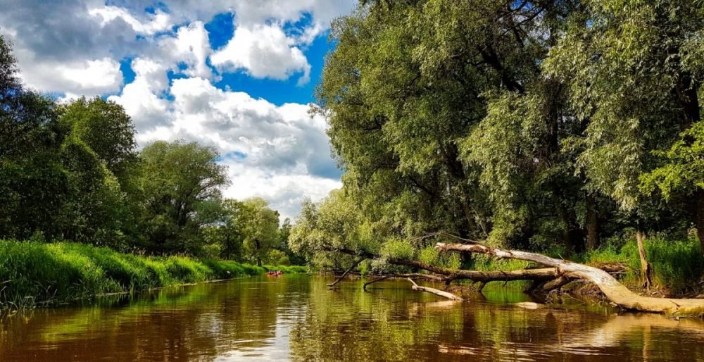 Canoeing in Ruja river _ Rolands Ratfelders