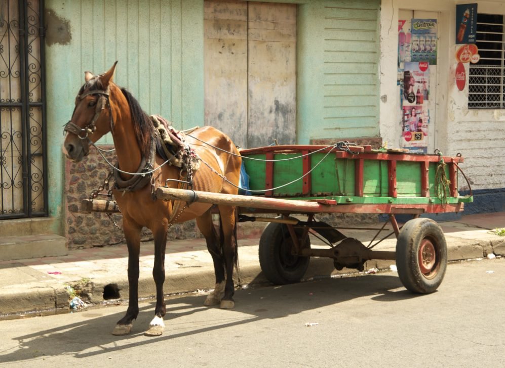 Escape_travel_Nicaragua_horse_02