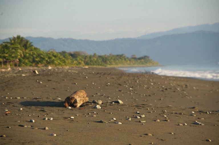 Escape travel Puerto Jimenes_beach