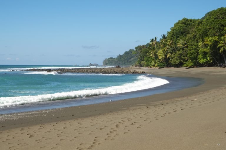 Most Epic hiking trail _ Corcovado _ Costa Rica _ featured