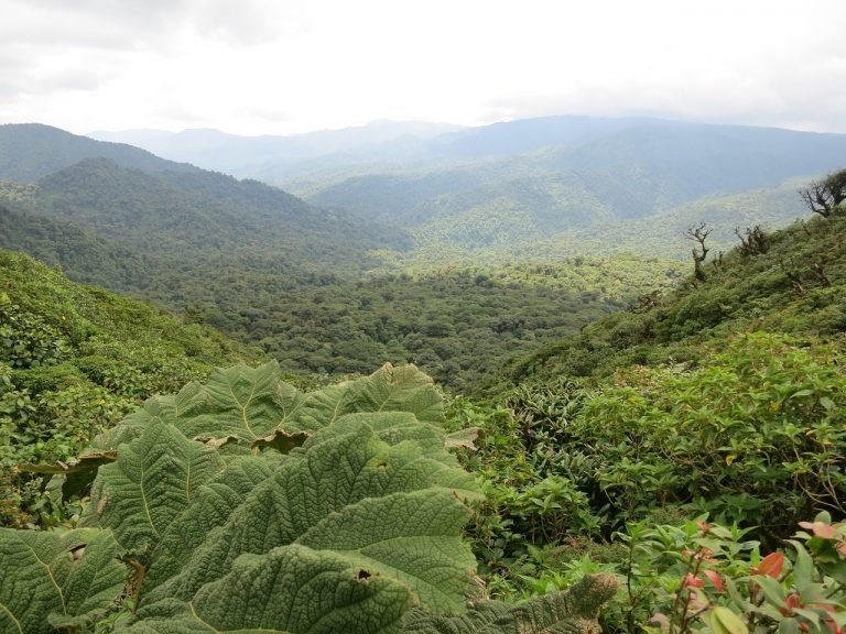 Escape travel _ Costa Rica _ eco-tourism