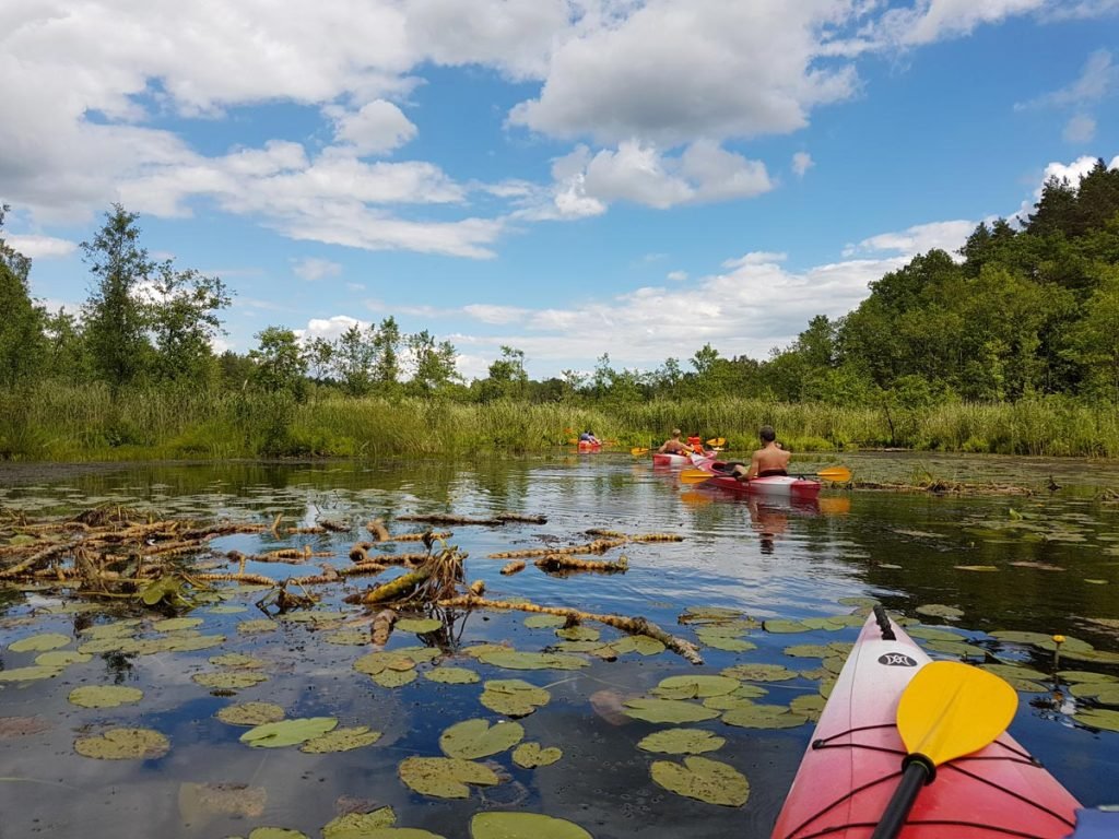 Traveling to Latvia _ kayaking _ Latgale lakes