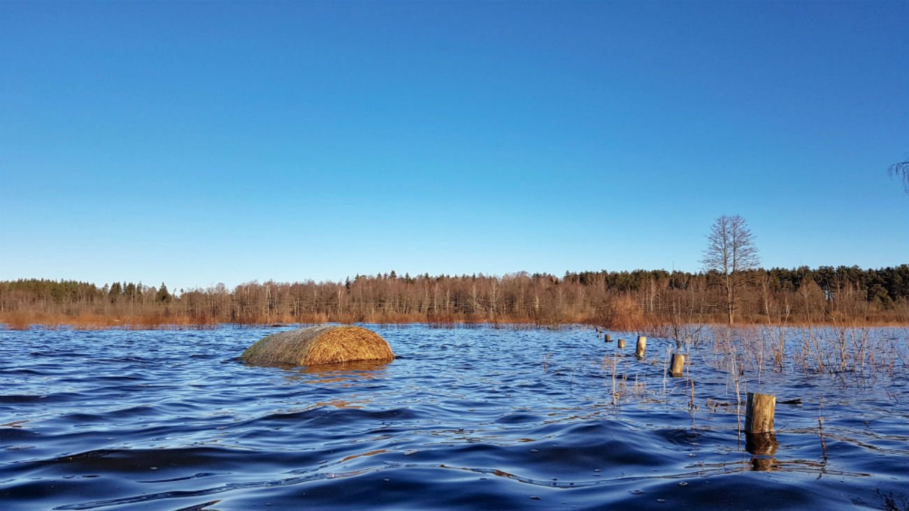 Winter kayaking _ Travel to Latvia _ Dviete Floodplain _ ESCAPERIES