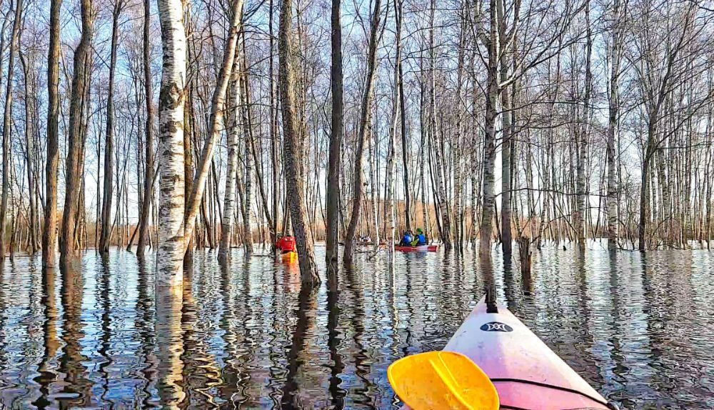 Winter kayaking _ Travel to Latvia _ Dviete Floodplain _ ESCAPERIES