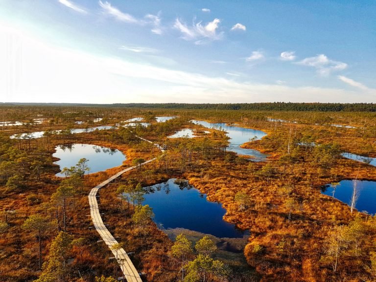 Latvia _ Great Kemeri Bog