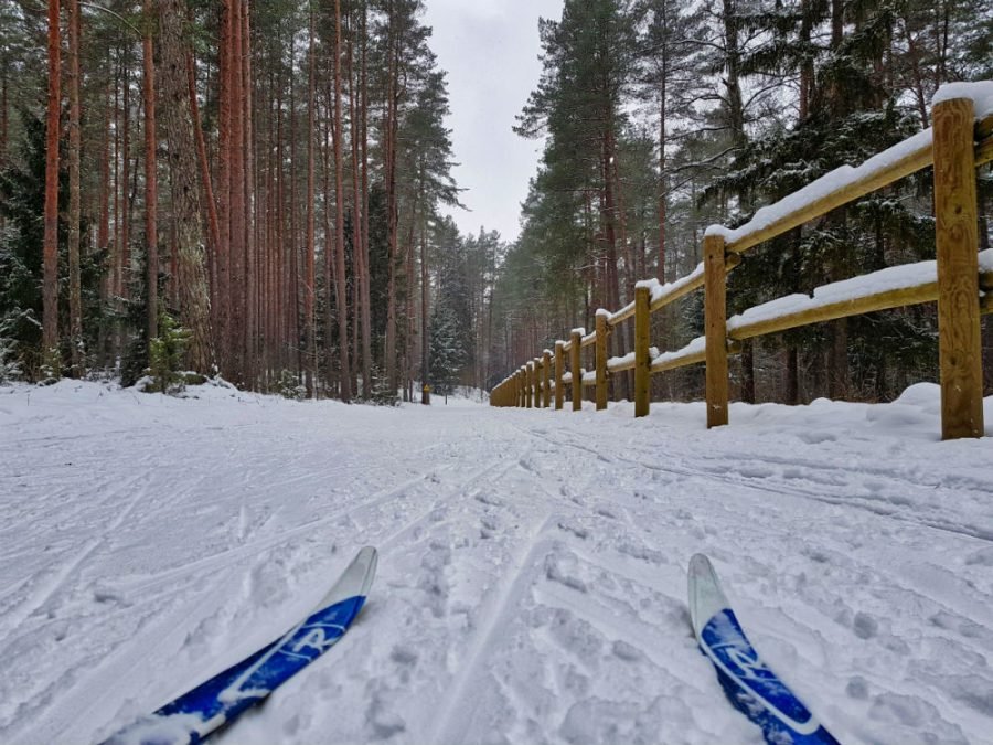 Latvia Cross Country Skiing