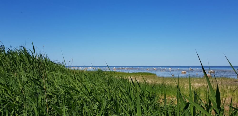 Beach hiking _ quiet beach holidays _ Latvia _ Kaltene