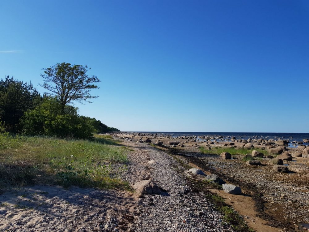 Beach hiking _ quiet beach holidays _ Latvia _ Kaltene