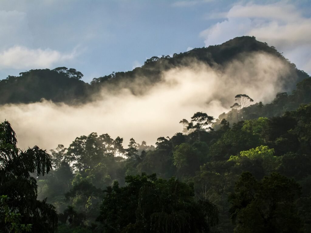 Best Places in Sri Lanka for Nature Lovers - Sinharaja