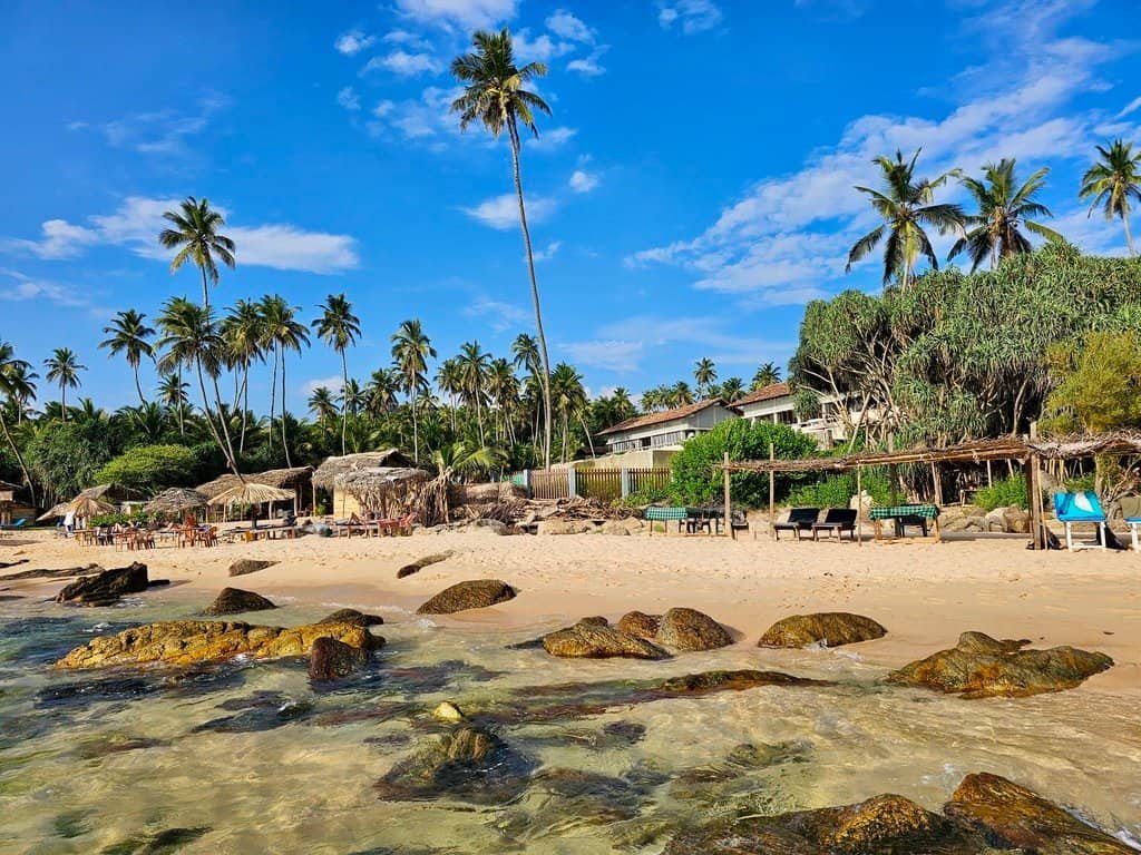 Best Places in Sri Lanka for Nature Lovers - Southern Coast - Escaperies