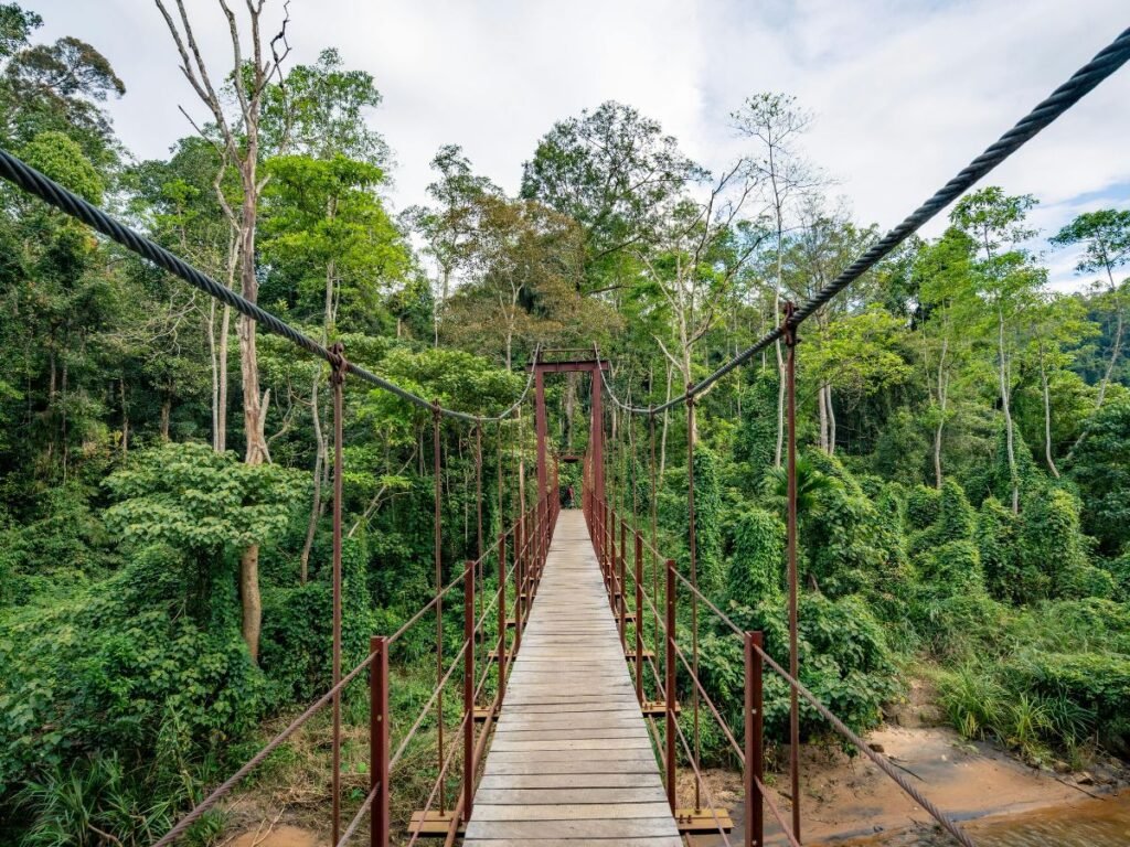 Sinharaja - Sri Lanka
