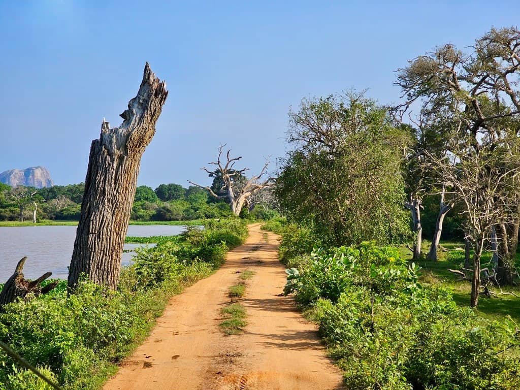 Sri Lanka national parks - Escaperies